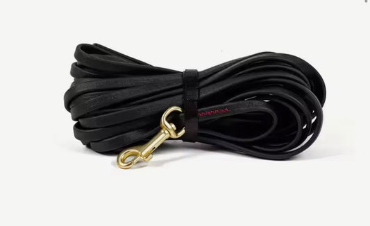 waterproof dog leash